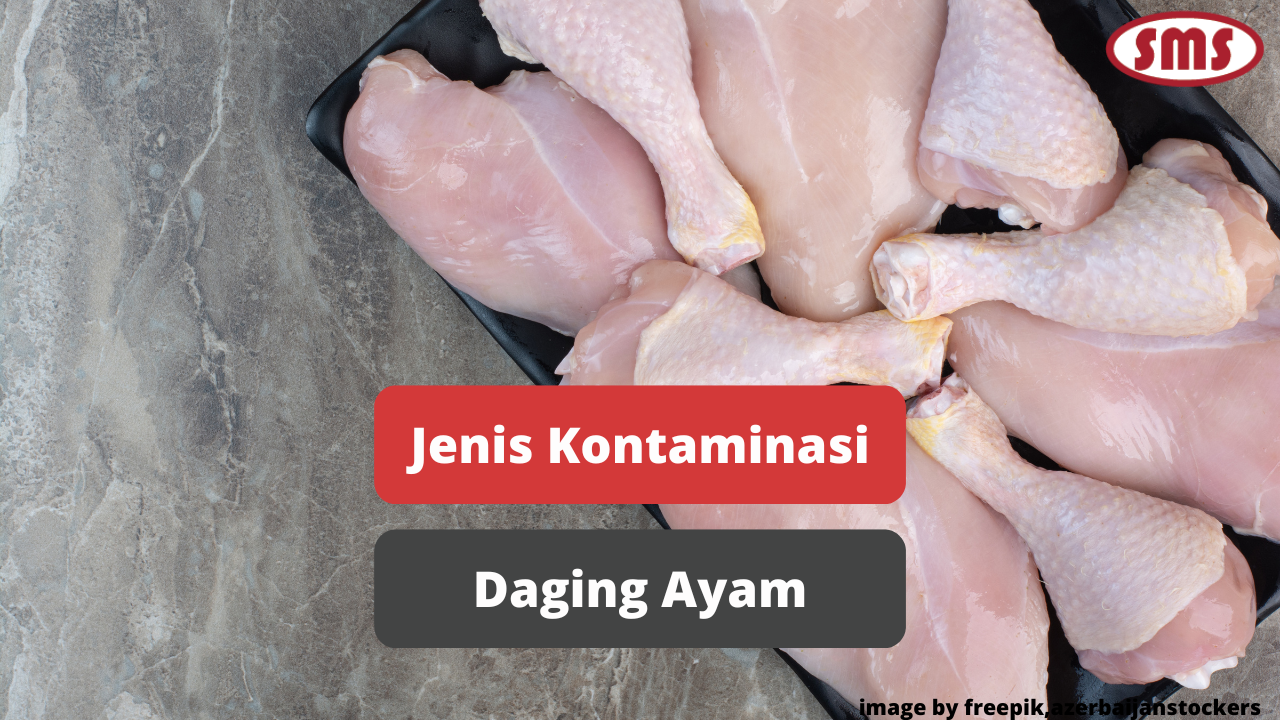 Kenali Jenis Kontaminasi Yang Menjangkit Daging Ayam